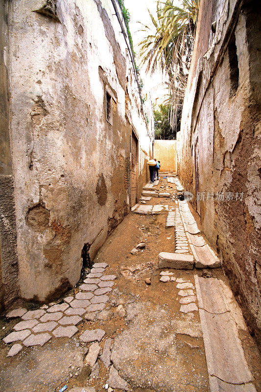 Fes el Bali，非斯的麦地那